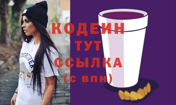 apvp Каменка