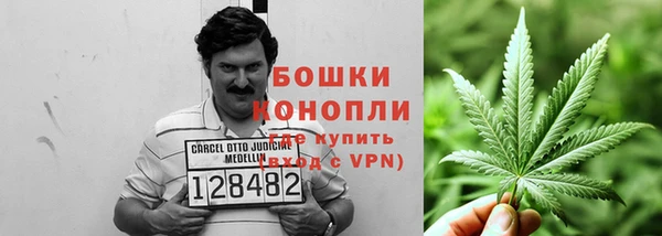 apvp Каменка