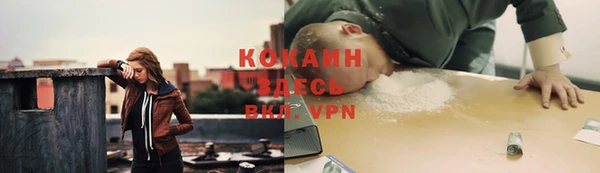 метадон Инта