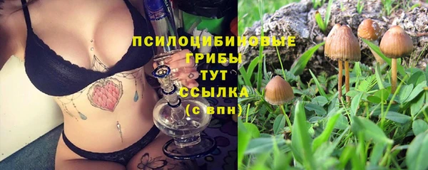 мдма Каменногорск