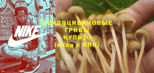 apvp Каменка
