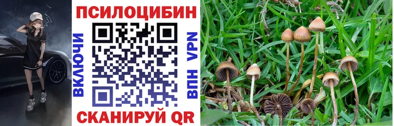 Псилоцибиновые грибы GOLDEN TEACHER  Купить закладки  Ладушкин 